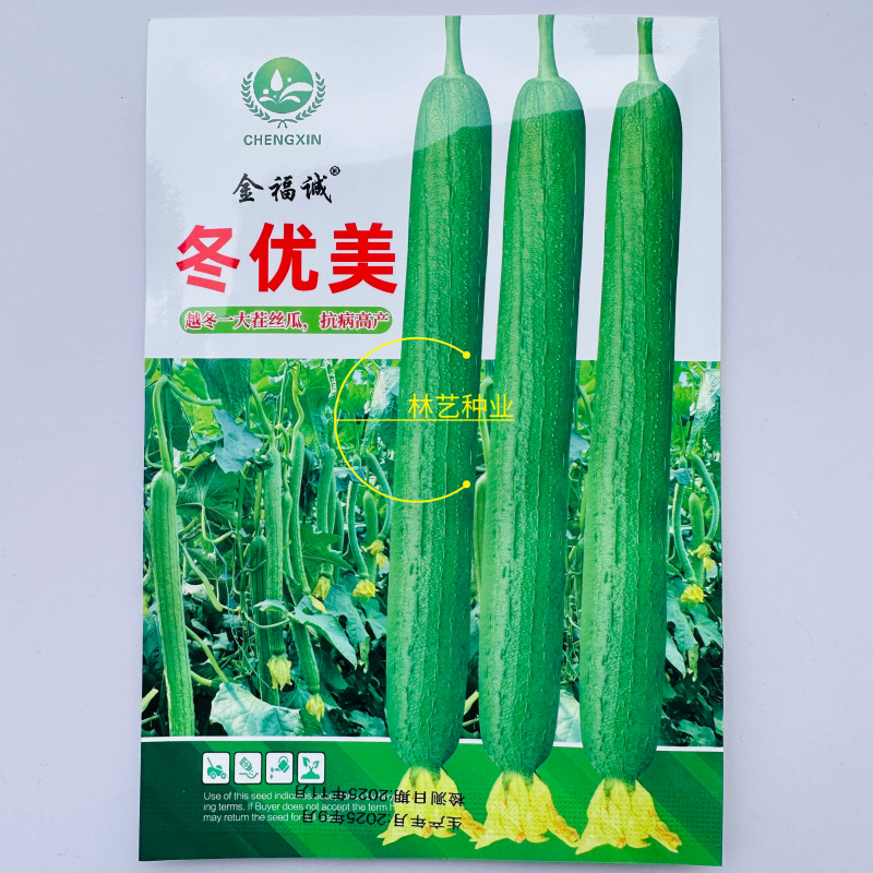 冬优美长丝瓜种子越冬温室大棚丝瓜种子肉厚心腔小耐运输高产