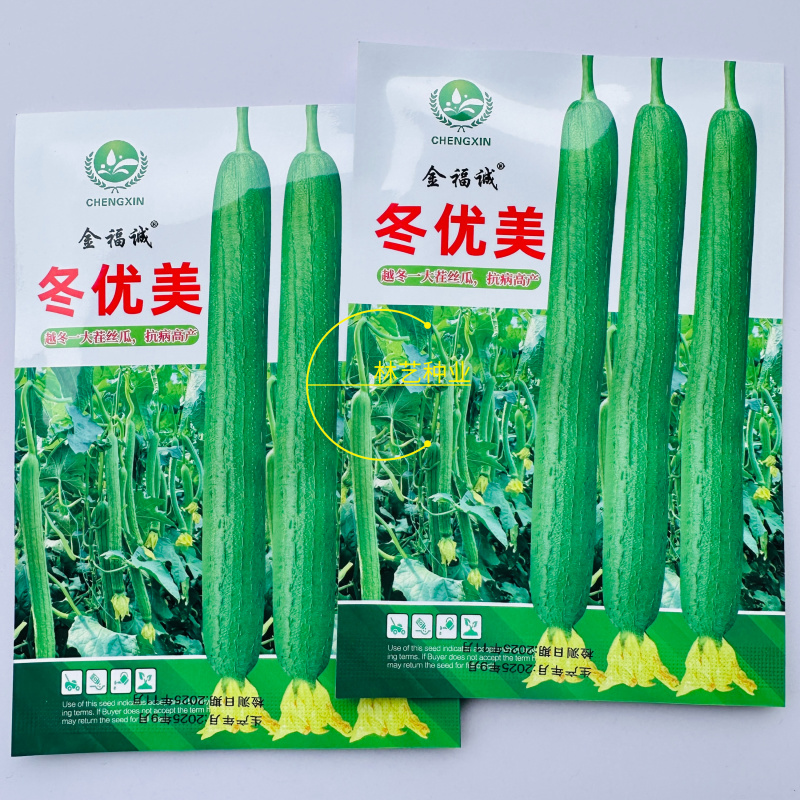 冬优美长丝瓜种子越冬温室大棚丝瓜种子肉厚心腔小耐运输高产