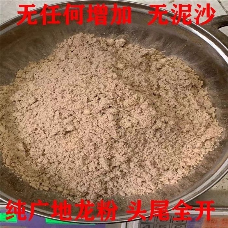 地龙中药材正宗广西野生地龙货真价实批发零售
