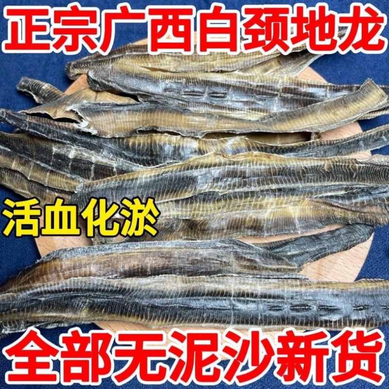 地龙中药材正宗广西野生地龙货真价实批发零售