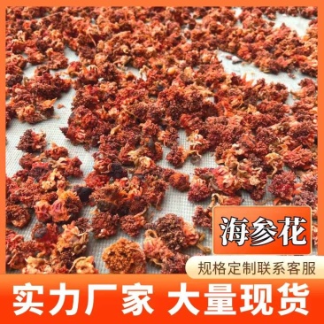 海参花纯淡干海参花干货红极参海参花海参参花大片营养