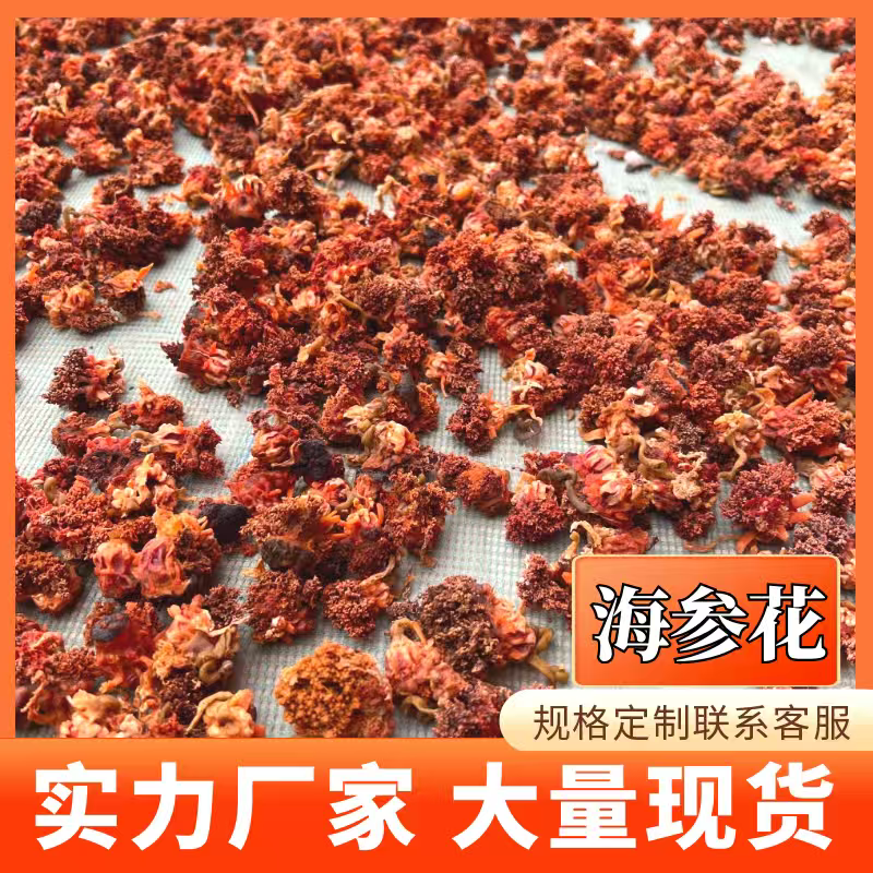 海参花纯淡干海参花干货红极参海参花海参参花大片营养