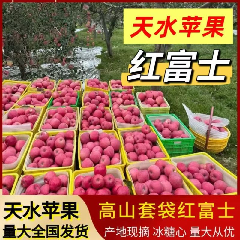 红富士苹果