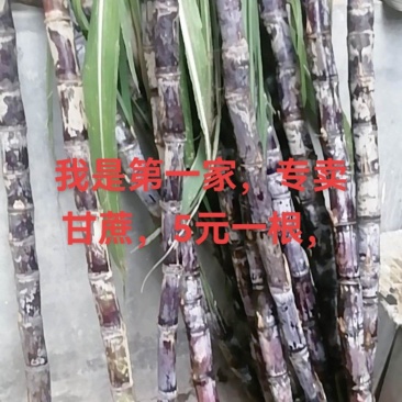 水果甘蔗