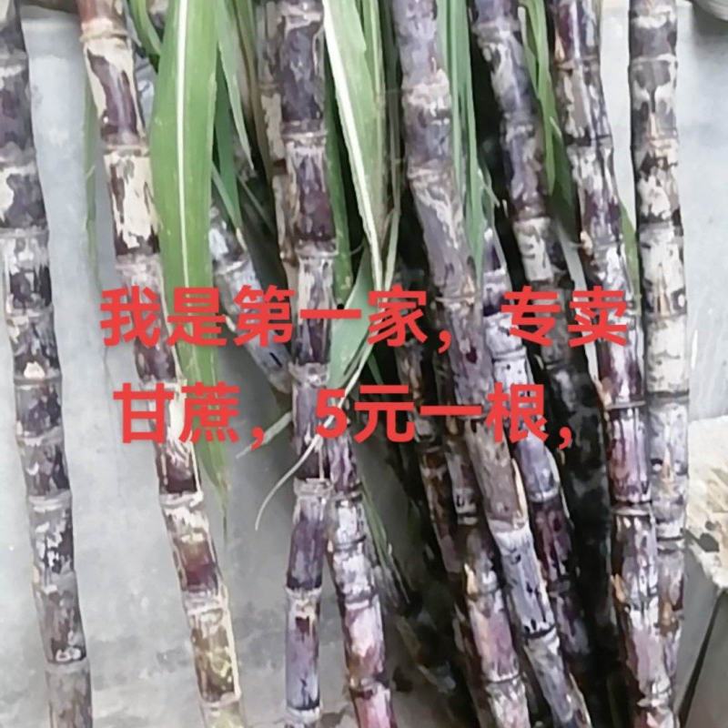 水果甘蔗