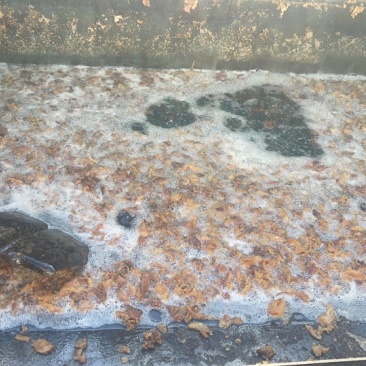 火炼猪油，酸钾3个，