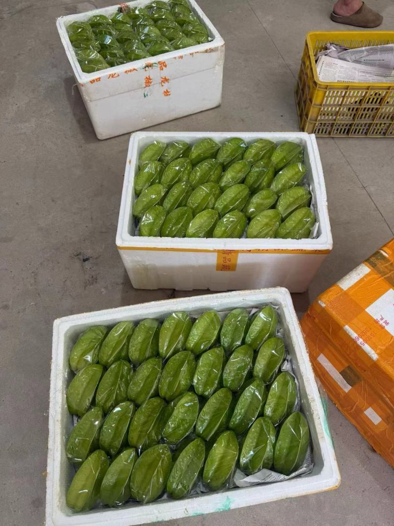 杨桃，甜杨桃，大量接单产地直发量大从优欢迎来电咨询