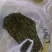 需要的加微信***********.20一斤