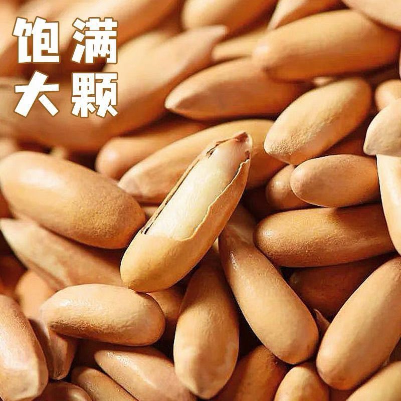 大颗粒巴西手剥松子，个大平台支持一件代发一手货源批发大货