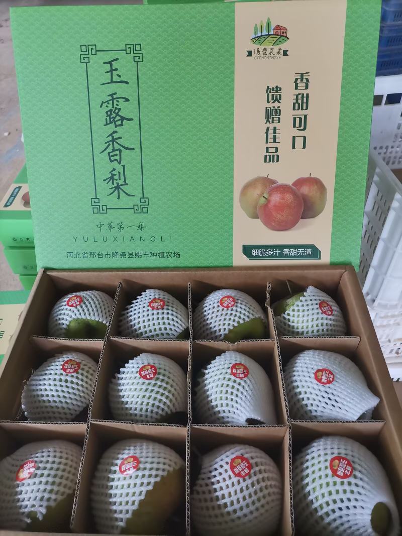 玉露香梨均已成熟入库，开始销售有需要的朋友可以联系我们。
