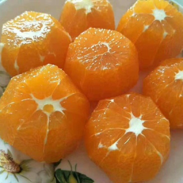 脐橙，纽荷尔，中华红，轮晚夏橙