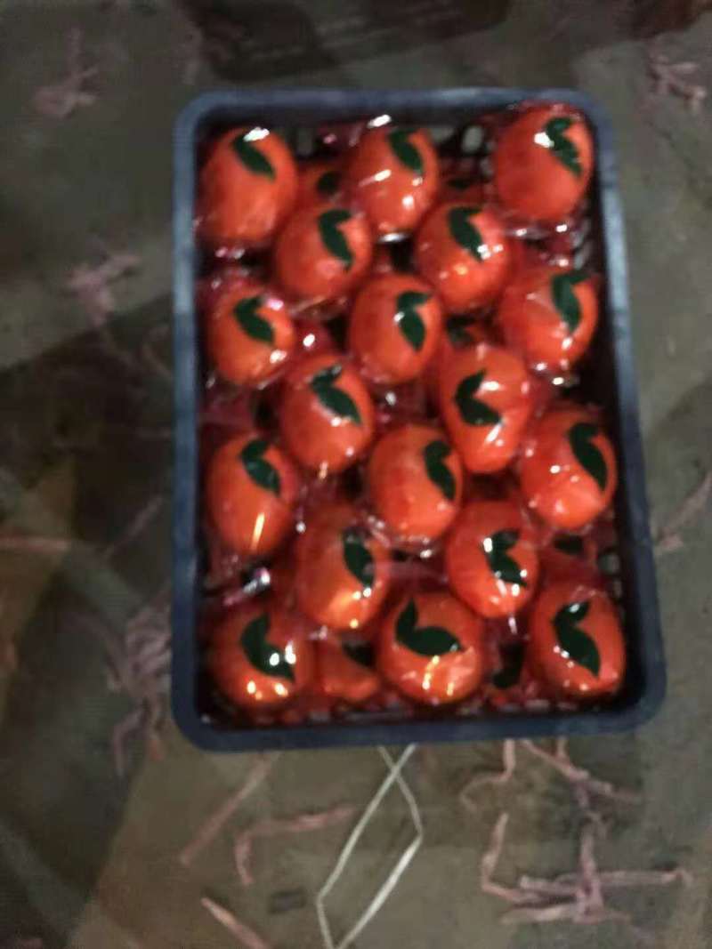脐橙，纽荷尔，中华红，轮晚夏橙