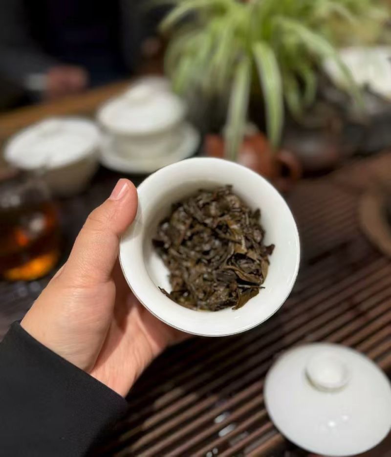 普洱茶沱茶老生茶