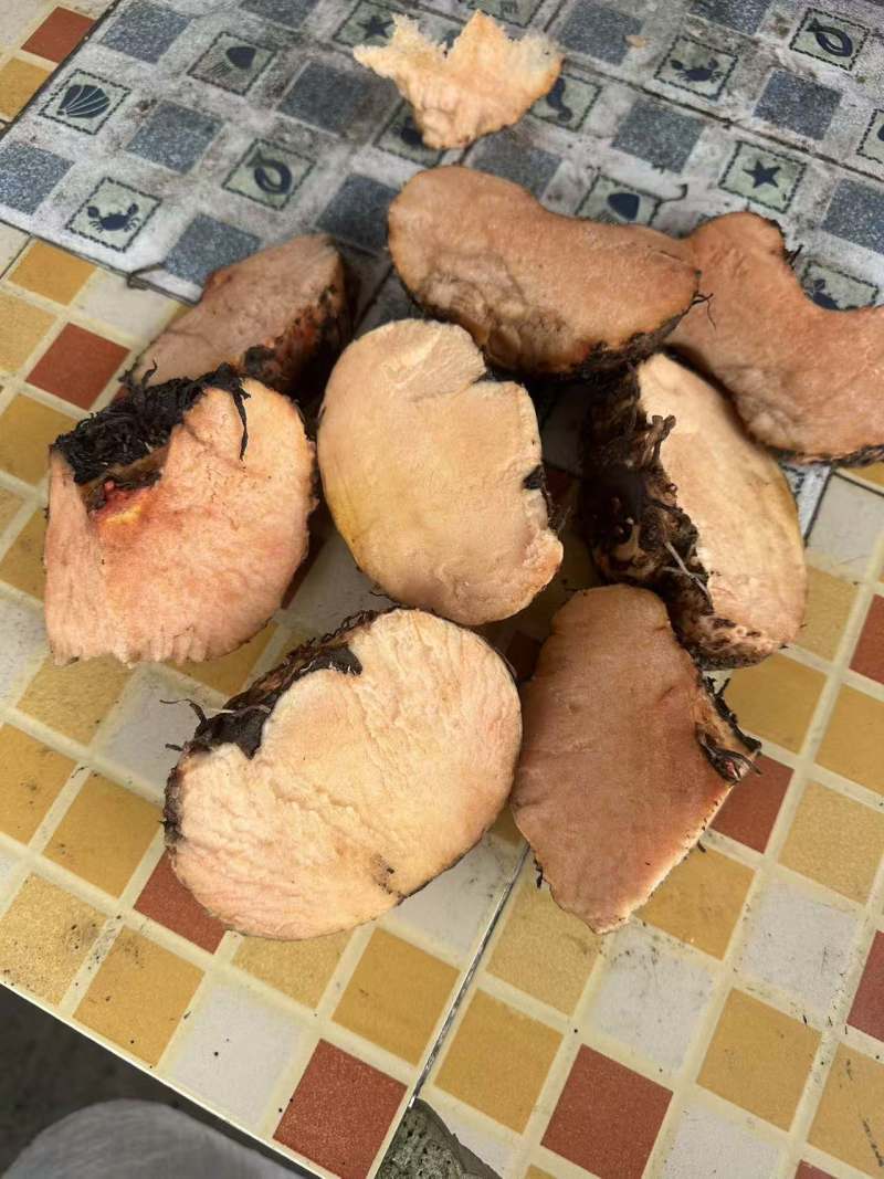 老板您好我有大量现货泰国，缅甸珠芽黄魔芋。100吨起批。
