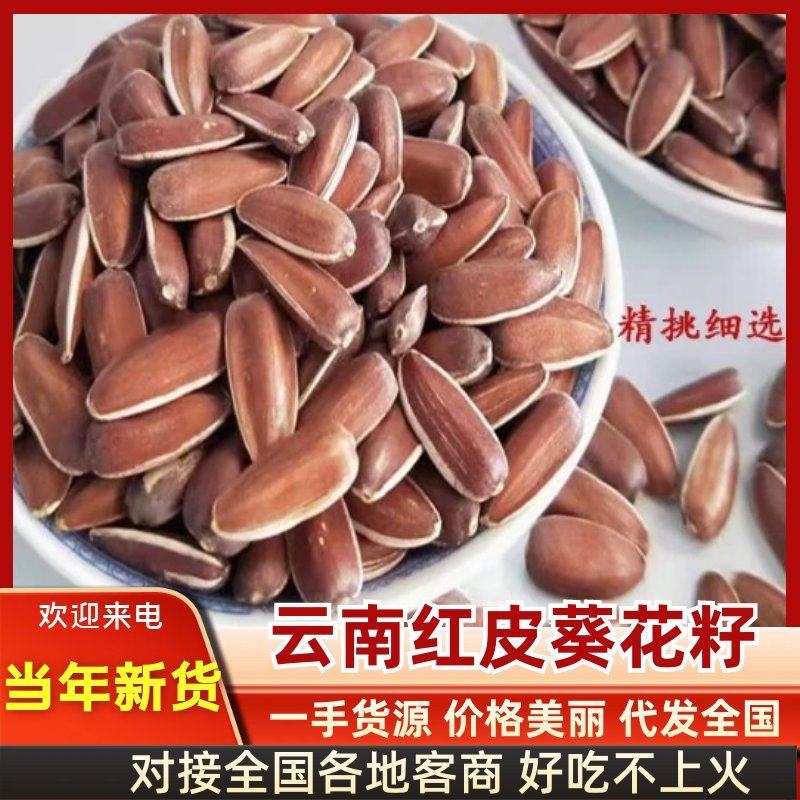 2025年新货云南红皮葵花籽（口感香甜）农户直发