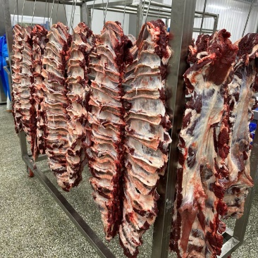 牛肉源头工厂，现杀现发