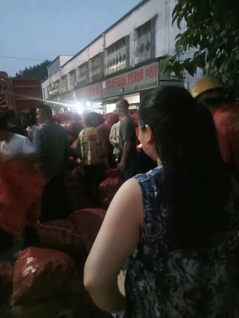 新鲜洛神花又名玫瑰茄欢迎来当地采购量大从优
