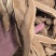 灵芝正品无硫质量保证诚信经营规格齐全