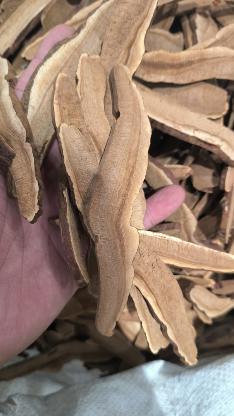 灵芝正品无硫质量保证诚信经营规格齐全