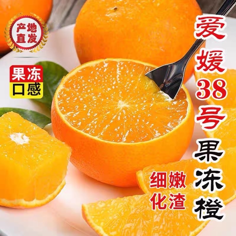爱媛38号果冻橙一件代发坏果包赔一件也是精品果