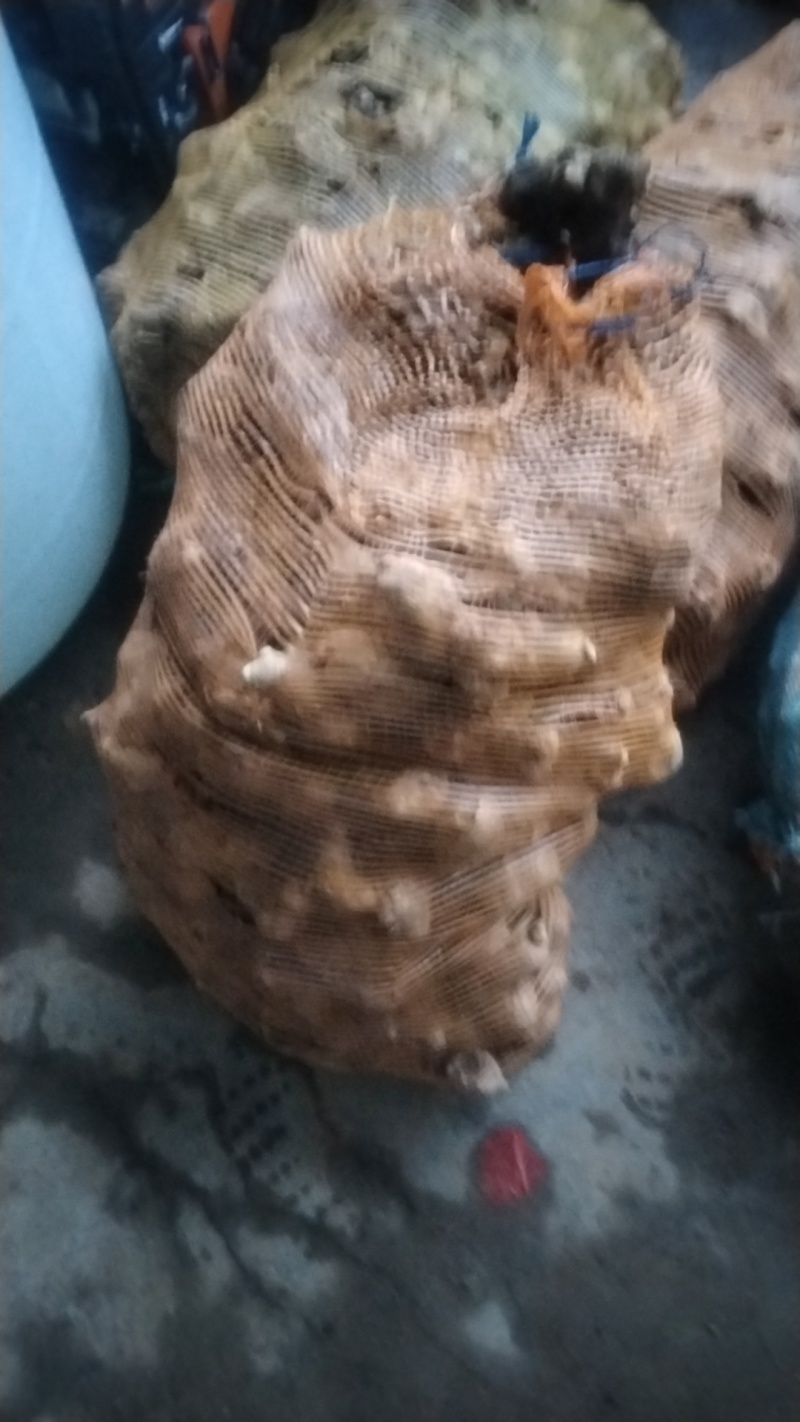 黄精