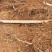 二手葡萄地水泥立柱，2.3米-2.5米大量有货，纯实心内