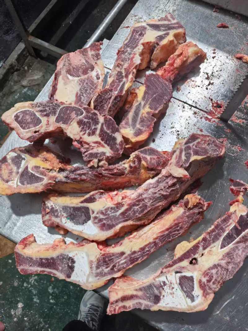 黄膘牛胸骨