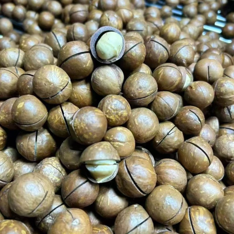 夏威夷果批发代发