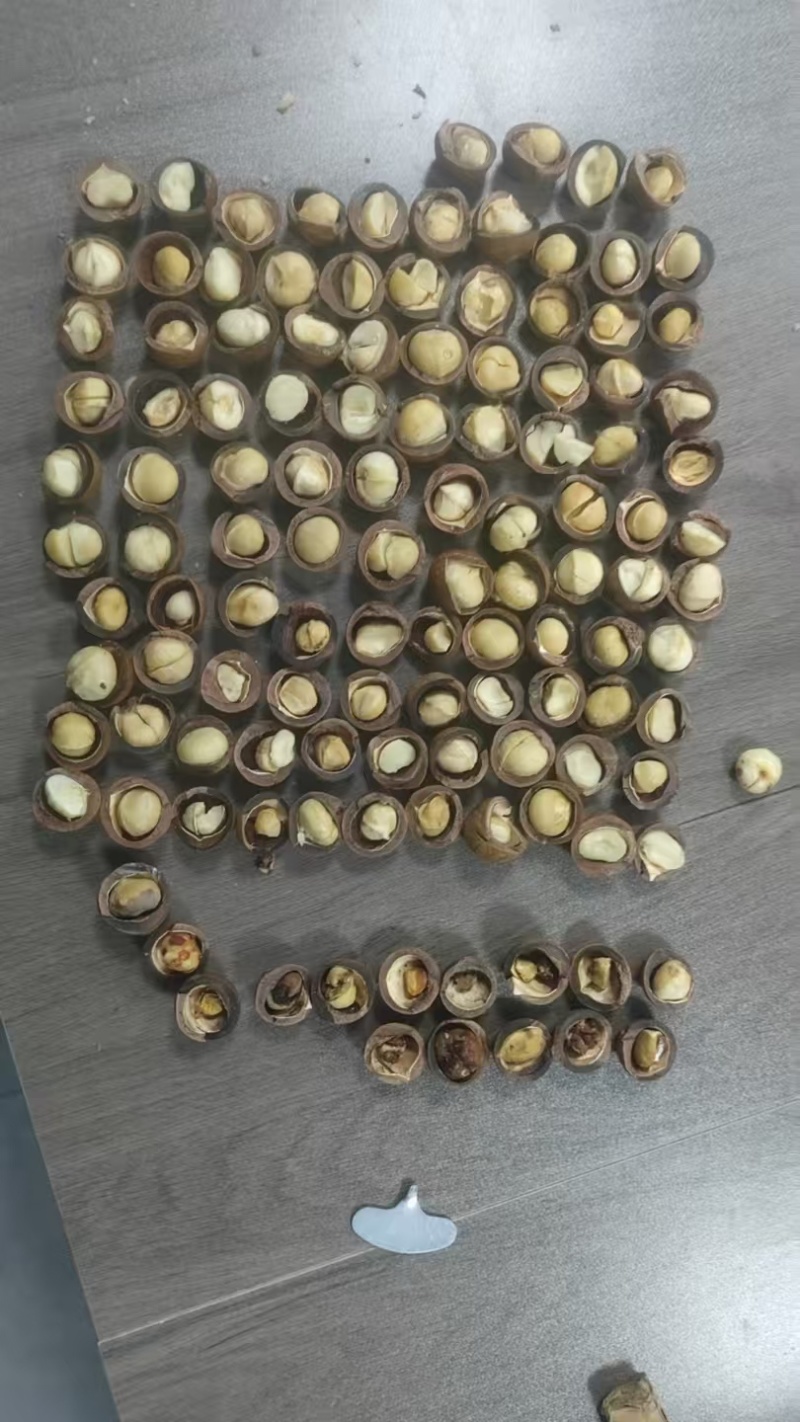 夏威夷果批发代发
