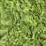 热卖中新鲜荠菜鲜货新鲜现挖基地直供量大从优欢迎联