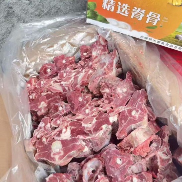 内蒙双威满肉羊蝎子
