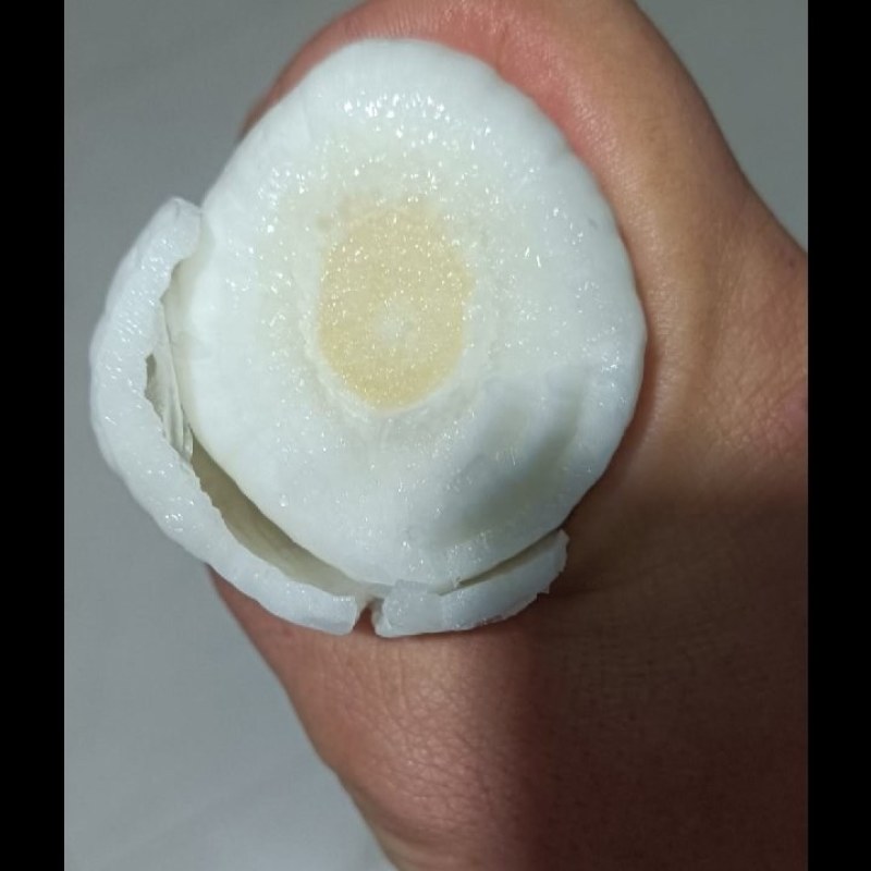 蔚县疙瘩葱