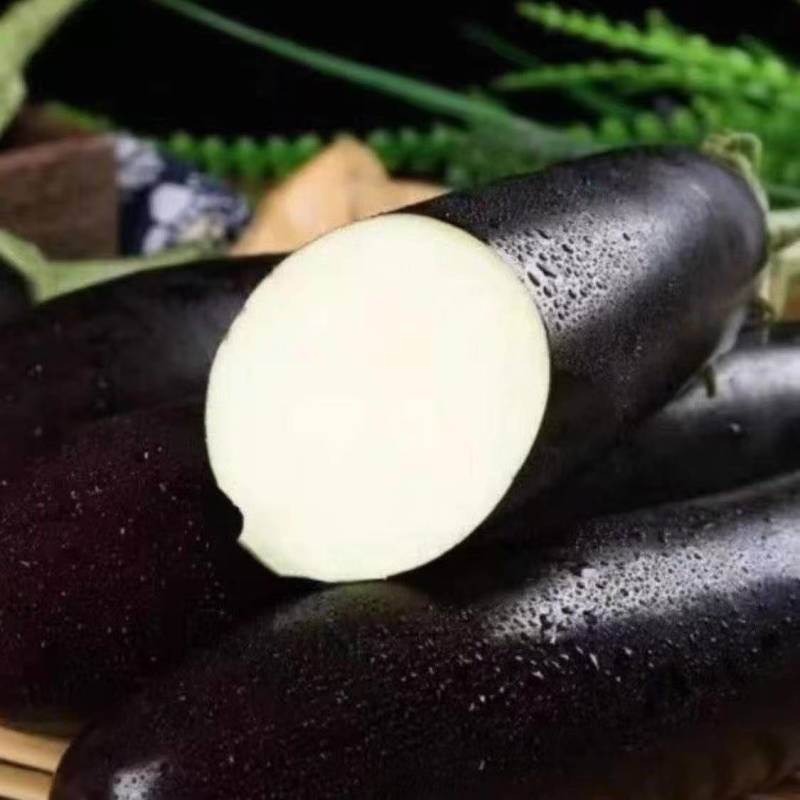 【推荐】本地紫茄供应市场商超电商一手货源量大从优