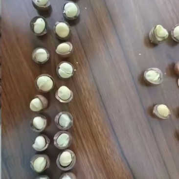 夏威夷果电商货商超货一件代发