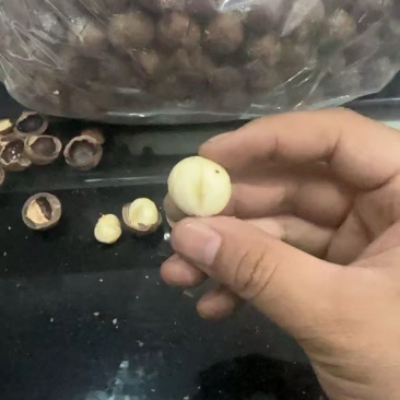 夏威夷果一件代发批发