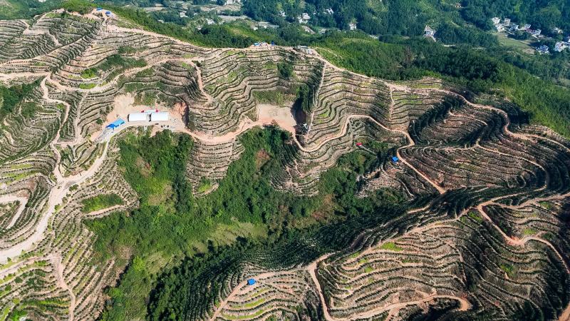一千亩赣南脐橙种植园
