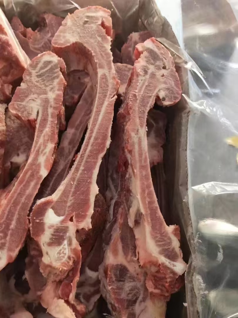 母猪肋排条