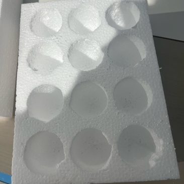 鸡鸭鹅蛋泡沫蛋托专用各种异形包装定制泡沫箱