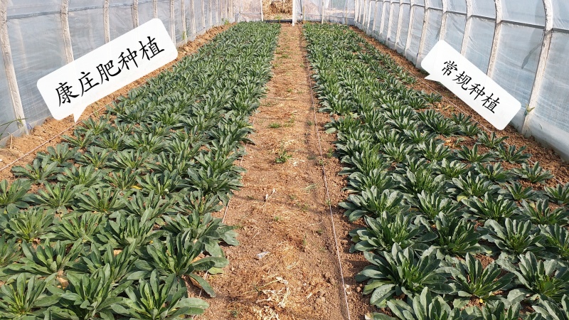 一种真正有生命的生物有机肥40公斤/袋，2吨起包邮至县城