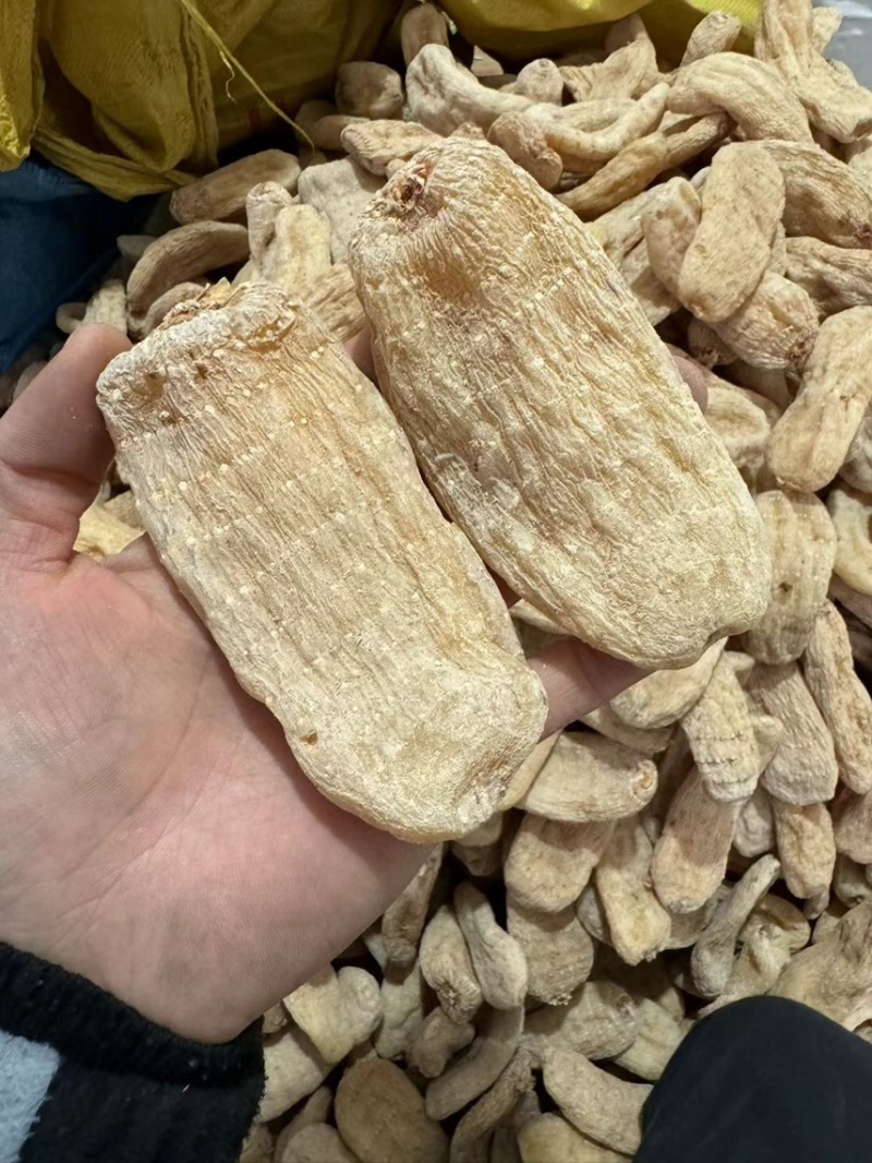 电商直供，鲜天干天麻直供，贵州深山老天麻晾干无硫干天麻