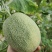 晓蜜25哈密瓜