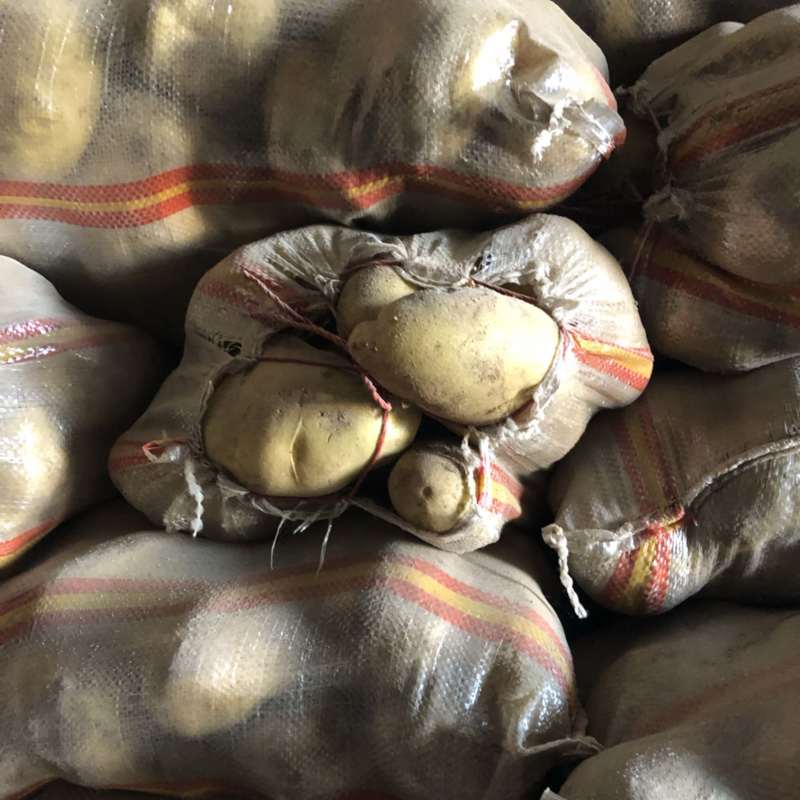 库存V7常年供应