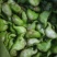 洪泽湖区域种植的牛角大青菱货源充足价格便宜，需要的联系我