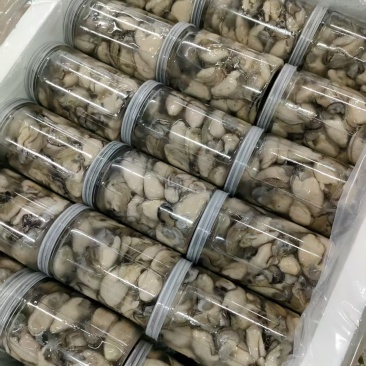 生蚝肉，新鲜现开，各种规格均有，供应火锅店，蚝烙，蚵仔煎