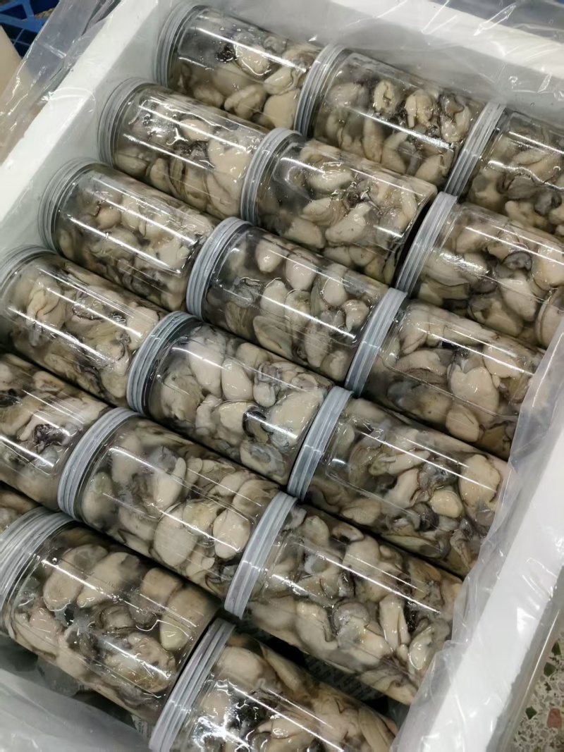 生蚝肉，新鲜现开，各种规格均有，供应火锅店，蚝烙，蚵仔煎