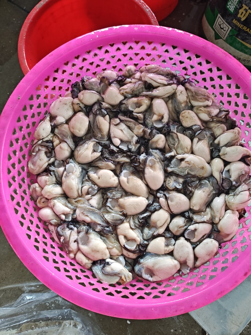生蚝肉，新鲜现开，各种规格均有，供应火锅店，蚝烙，蚵仔煎