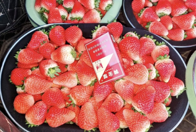草莓，天仙醉草莓大量上市现摘现发品质优甜度高欢迎咨询电话