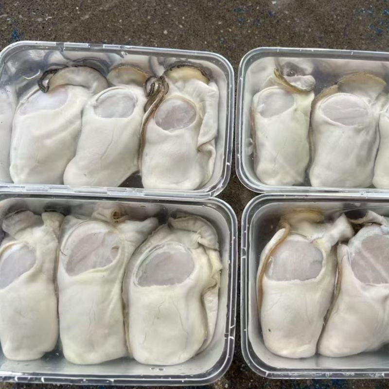 脆口大蚝肉，一斤10个左右，现开脆口咸水，支持全国直发