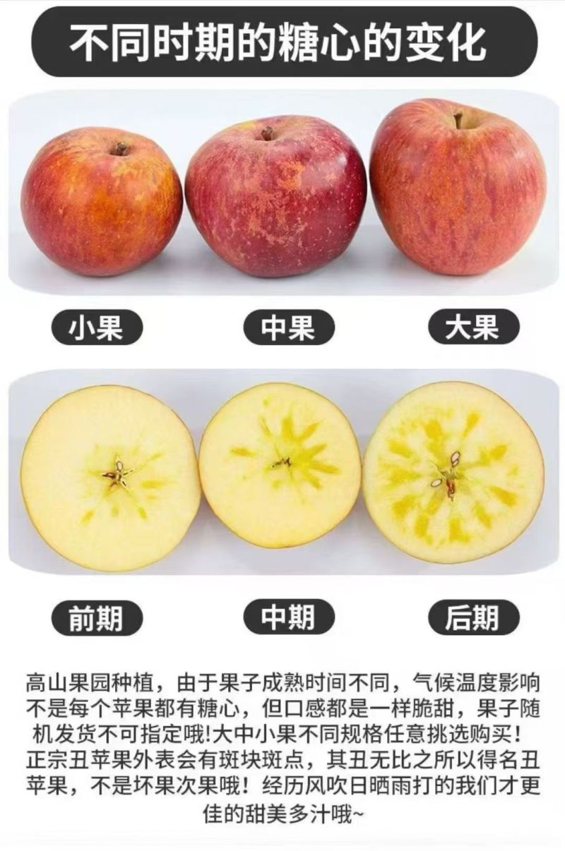 我有大量糖心苹果出售