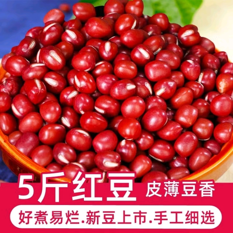 东北红小豆